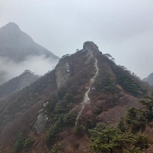 老司机正在佛山桑拿沐足推拿论坛上寻找放松信息